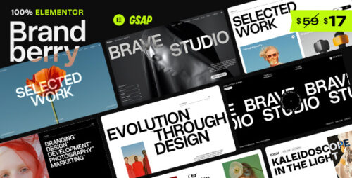 Brandberry – Creative Elementor WordPress Theme