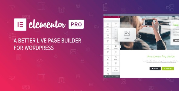 Elementor PRO - The Most Advanced WordPress Page Builder Plugin