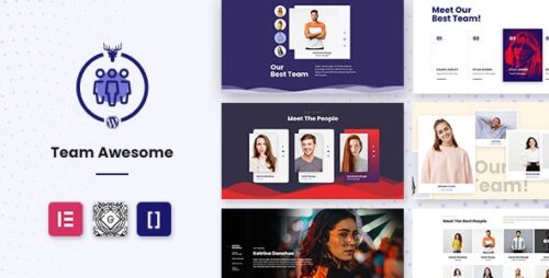 Team Awesome Pro - Team Member Showcase WordPress Plugin
