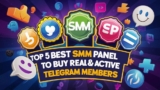 Top 5 SMM Panels to Buy Real and Active Telegram Members for Genuine Growth